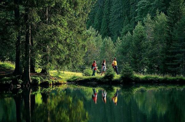 Spaziergänger an einem Waldsee