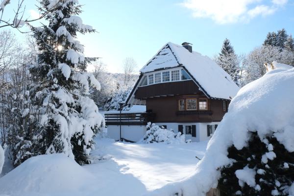 Chalet am Birkenhain im Winter